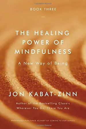 Portada del libro The Healing Power of Mindfulness